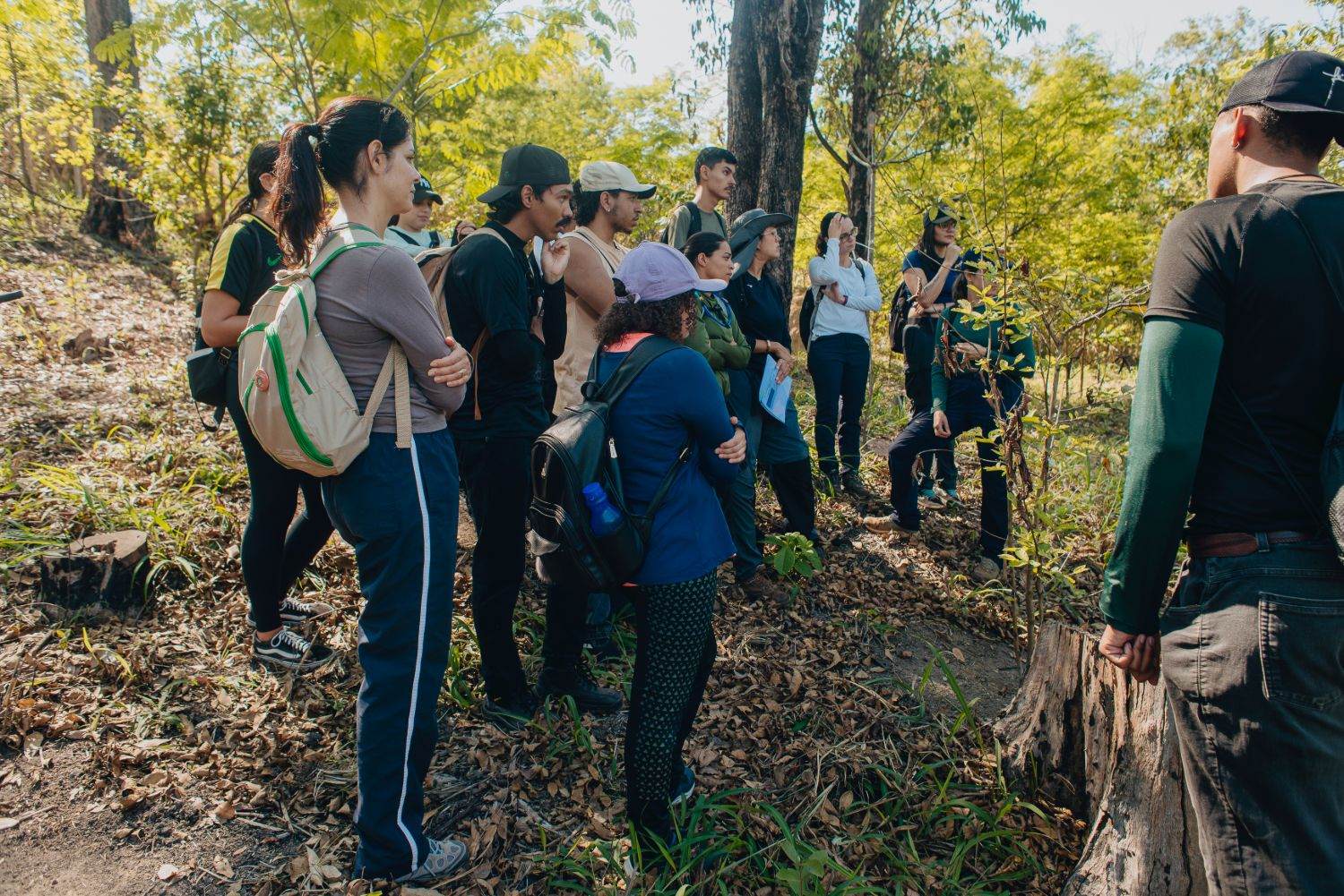 Estudantes da UNA observam mudas nativas na área de recuperação ambiental do PRADA do Parque Europa, em Contagem